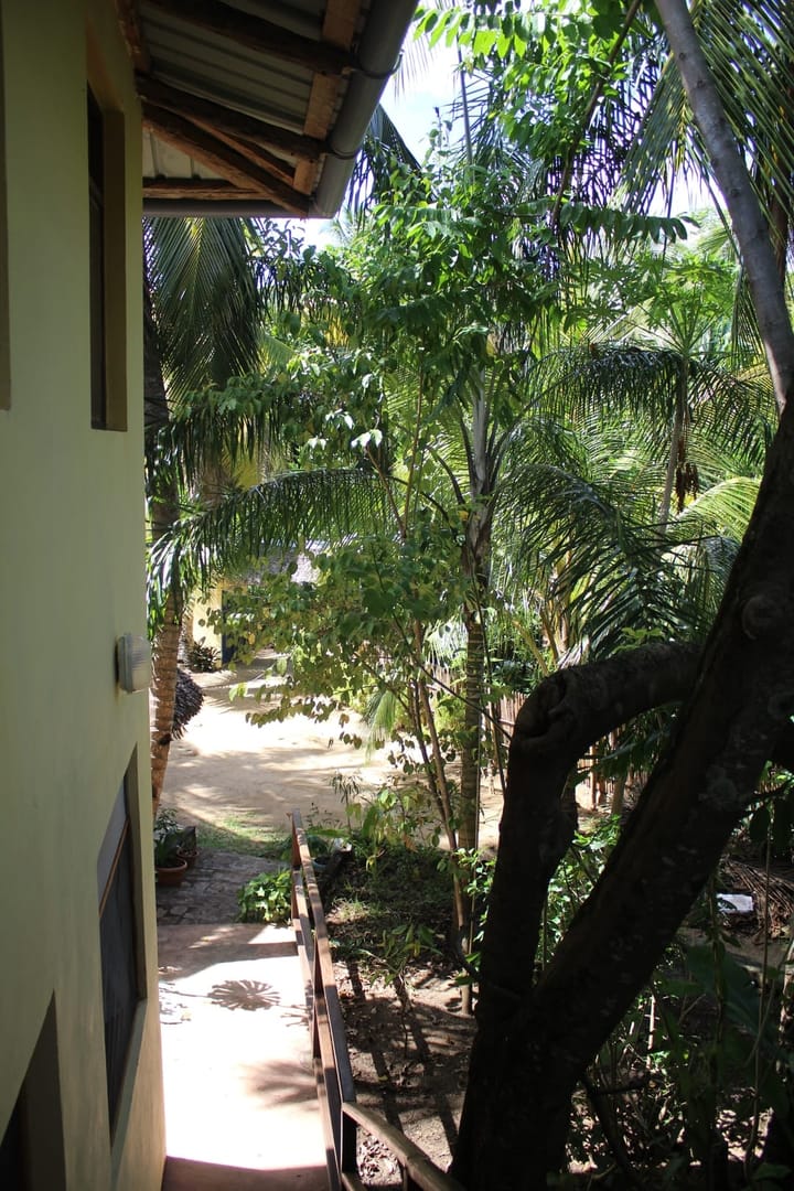 Gallery image 9